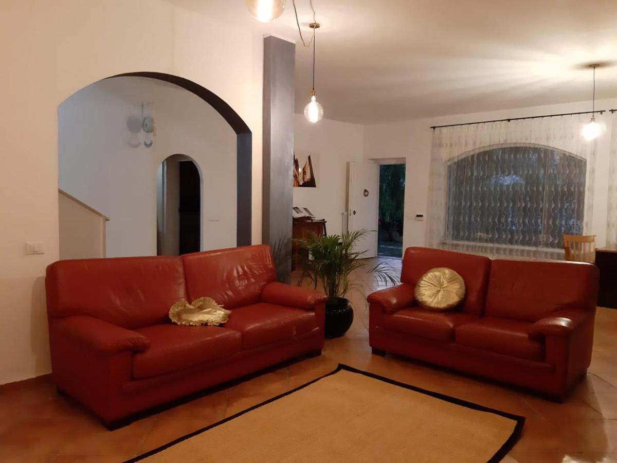 B&B Sofia ฟิวมิชีโน ภายนอก รูปภาพ